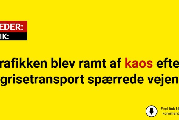 Trafikken blev ramt af kaos efter grisetransport spærrede vejen