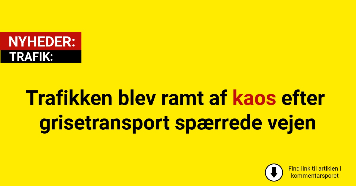 Trafikken blev ramt af kaos efter grisetransport spærrede vejen