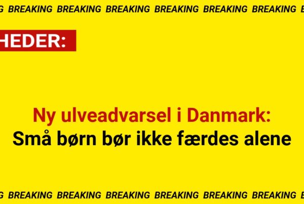 Ny ulveadvarsel i Danmark: Små børn bør ikke færdes alene