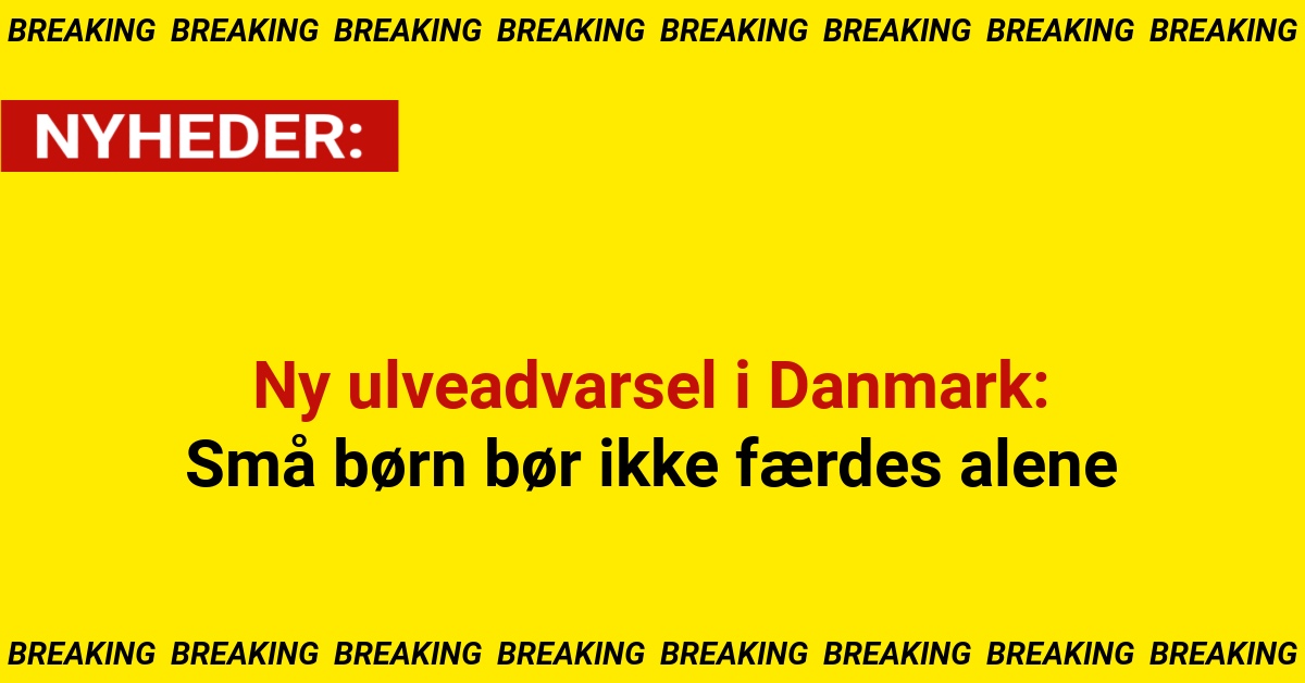 Ny ulveadvarsel i Danmark: Små børn bør ikke færdes alene