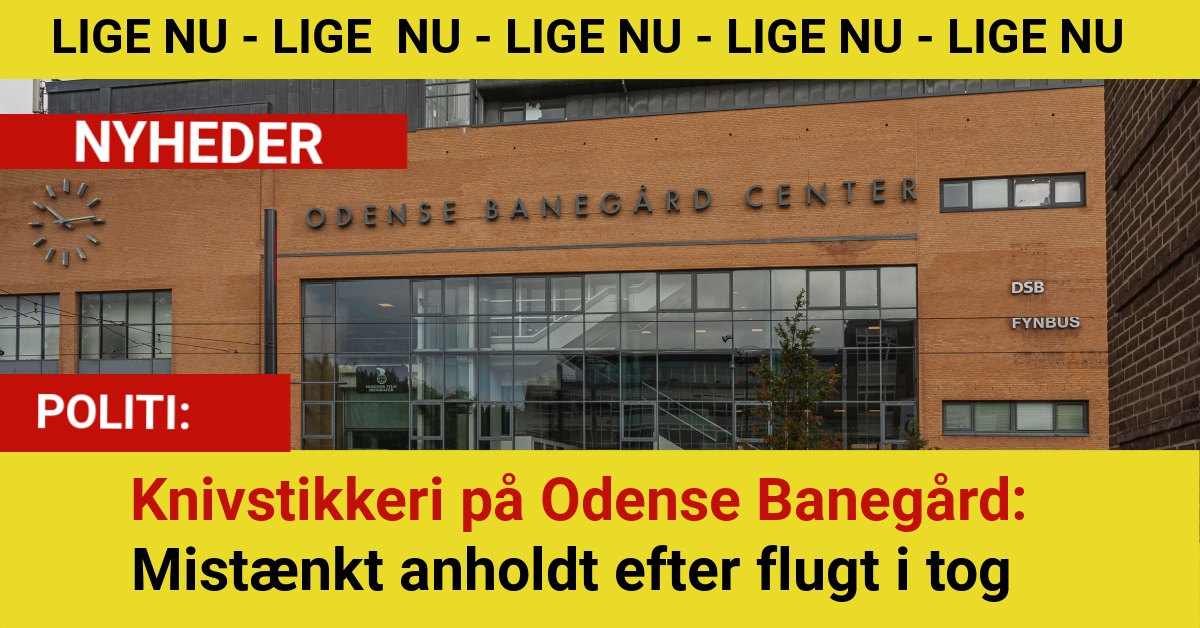 Knivstikkeri på Odense Banegård: Mistænkt anholdt efter flugt i tog