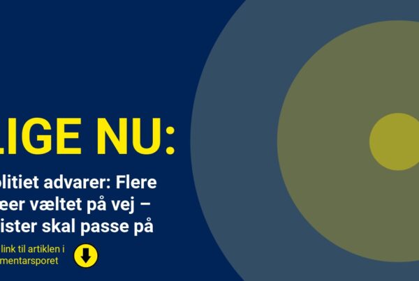 Politiet advarer: Flere træer væltet på vej – bilister skal passe på