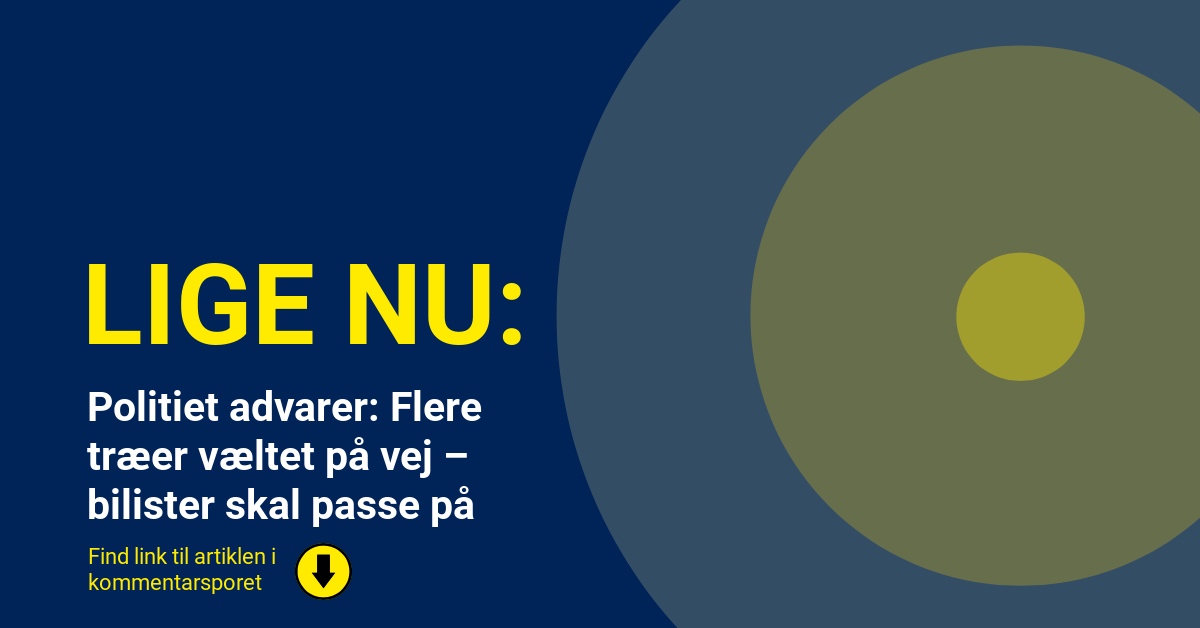 Politiet advarer: Flere træer væltet på vej – bilister skal passe på