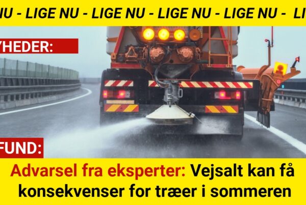 Vinterens vejsalt kan få alvorlige konsekvenser – og det rammer først til sommer