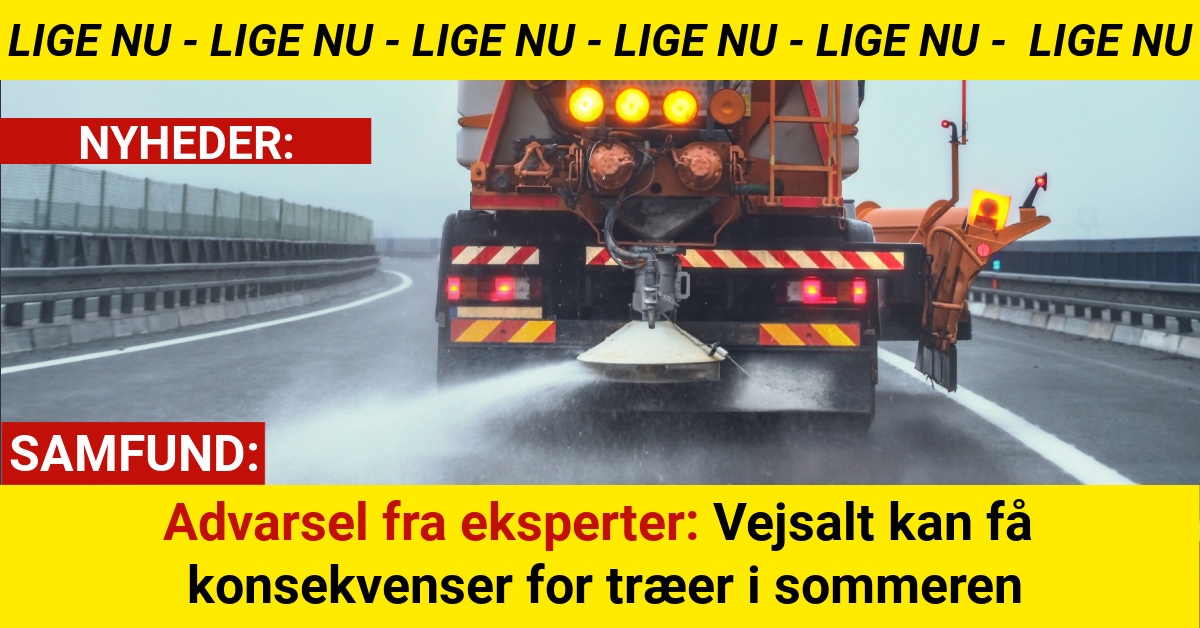 Vinterens vejsalt kan få alvorlige konsekvenser – og det rammer først til sommer