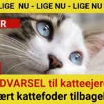ADVARSEL til katteejere: Populært kattefoder tilbagekaldes