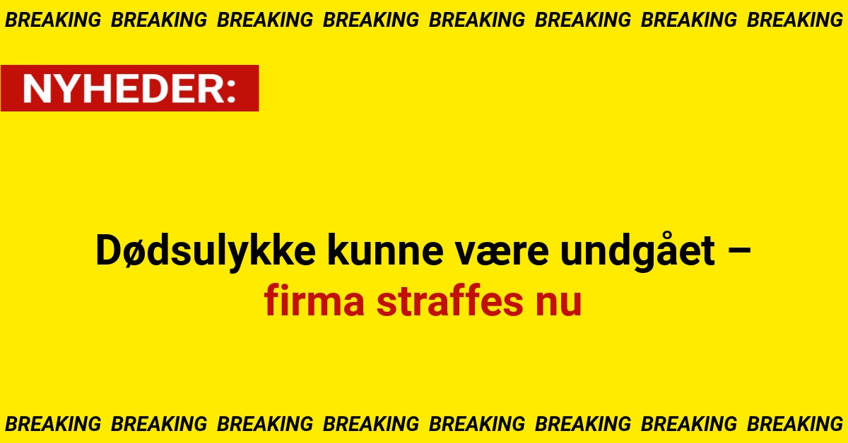 Dødsulykke kunne være undgået – firma straffes nu