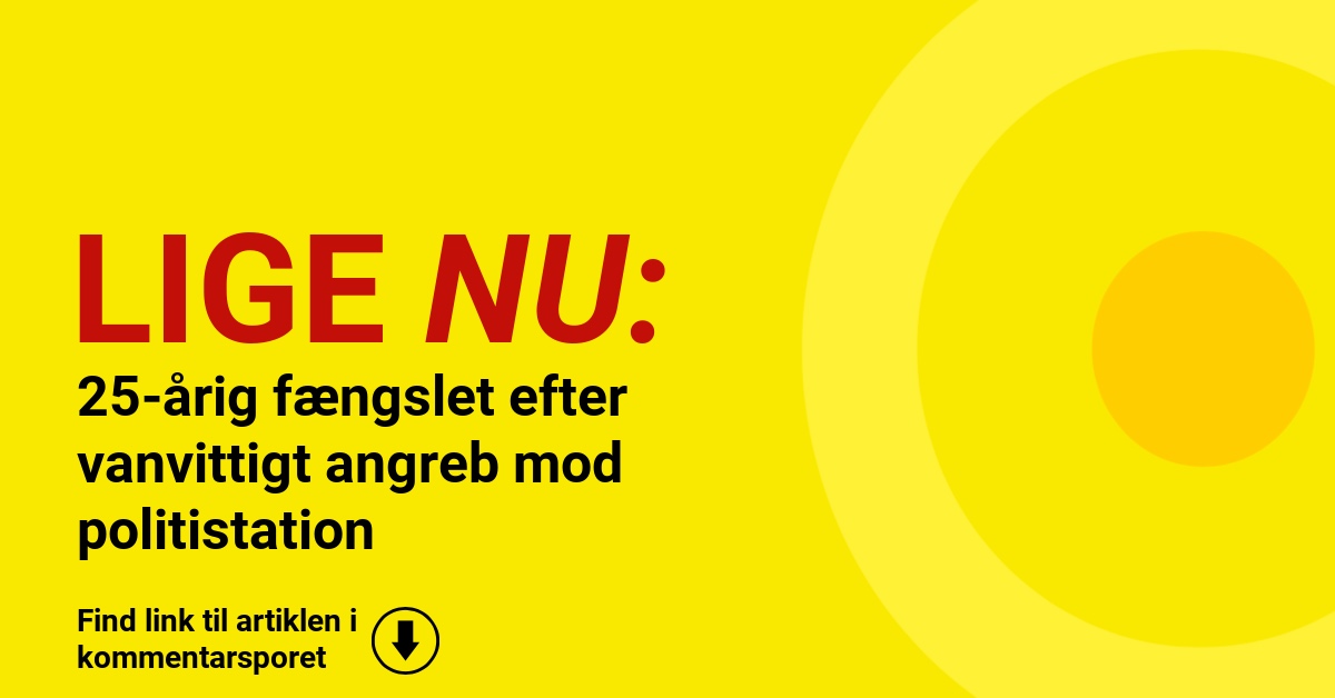 25-årig fængslet efter vanvittigt angreb mod politistation