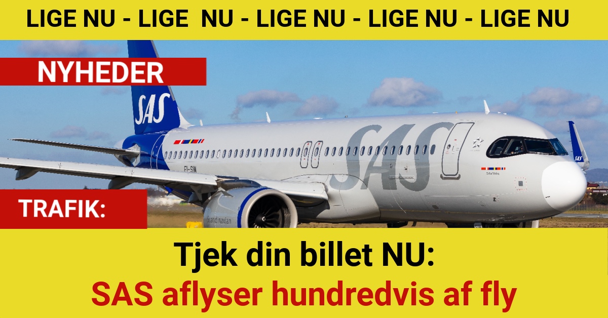 SAS aflyser 1.000 fly – er din rejse i fare?
