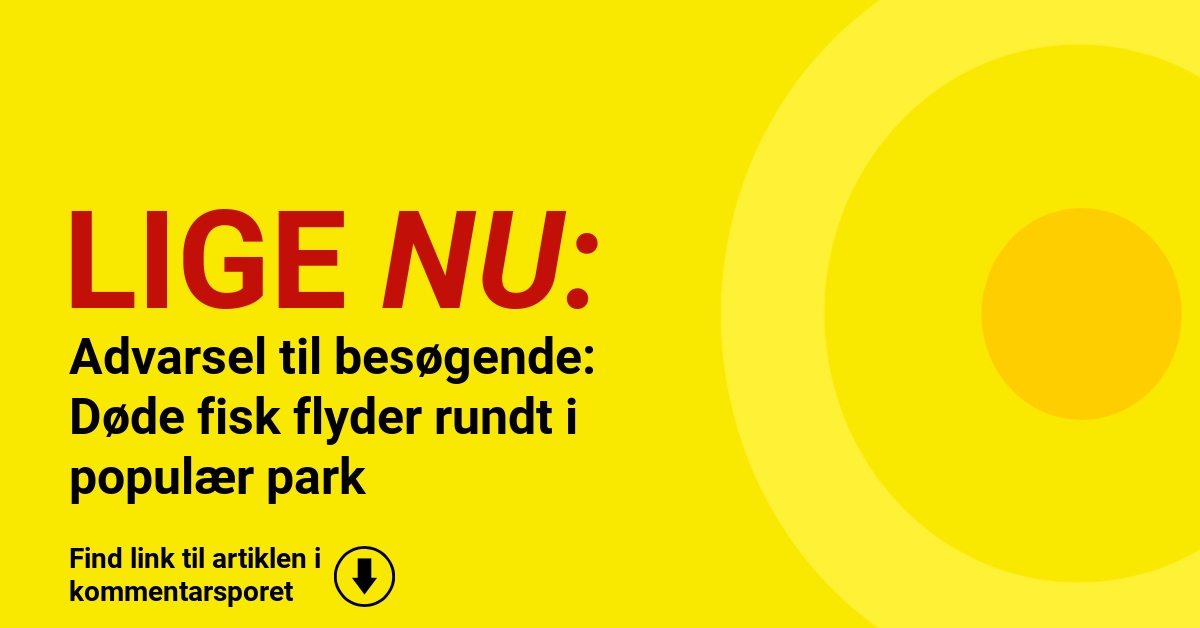 Advarsel til besøgende: Døde fisk flyder rundt i populær park