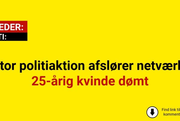 Stor politiaktion afslører netværk: 25-årig kvinde dømt