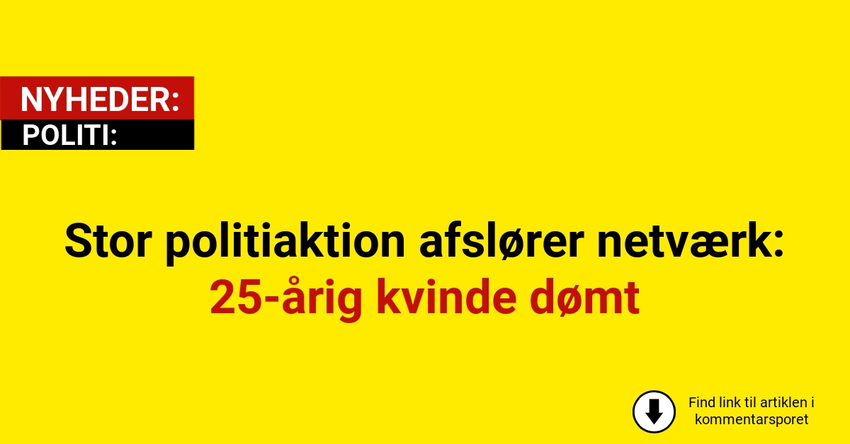 Stor politiaktion afslører netværk: 25-årig kvinde dømt