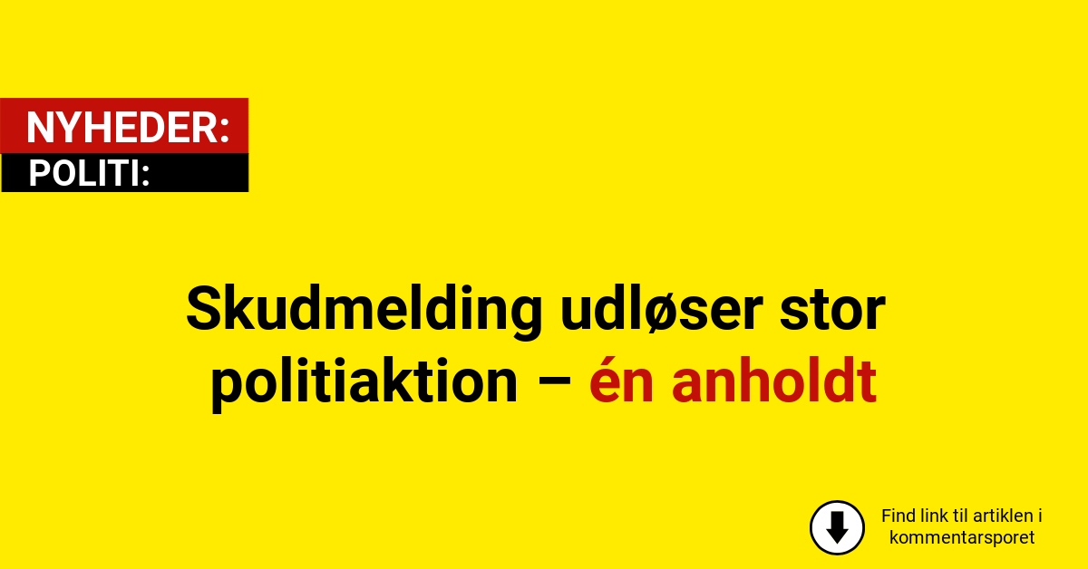 Skudmelding udløser stor politiaktion – én anholdt