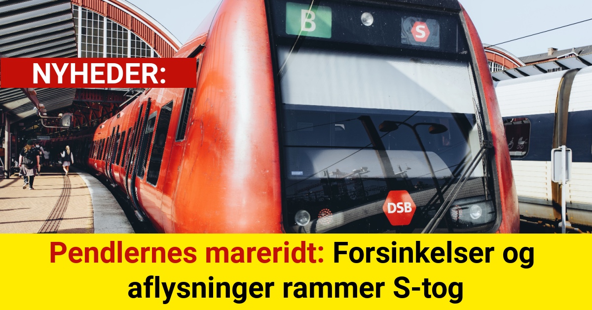 Pendlernes mareridt: Forsinkelser og aflysninger rammer S-tog