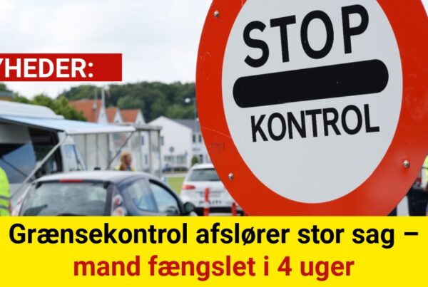 Toldkontrol afslører kæmpe smugling – over 380.000 piller i bilen