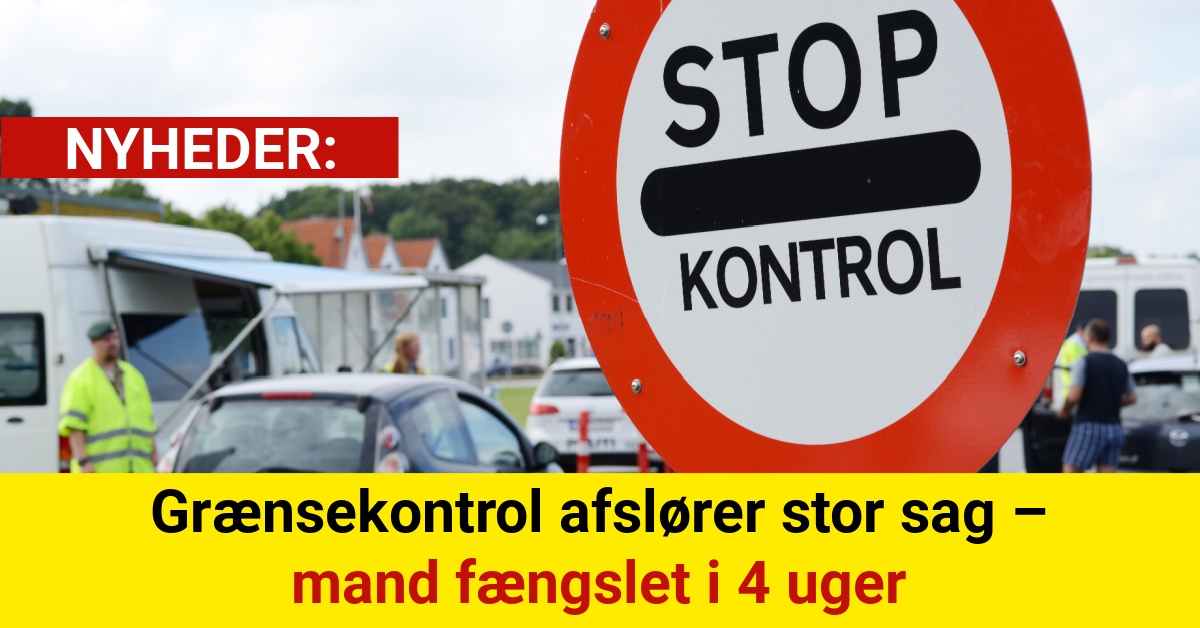 Toldkontrol afslører kæmpe smugling – over 380.000 piller i bilen