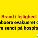 Brand i lejlighed: Beboere evakueret og flere sendt på hospitalet