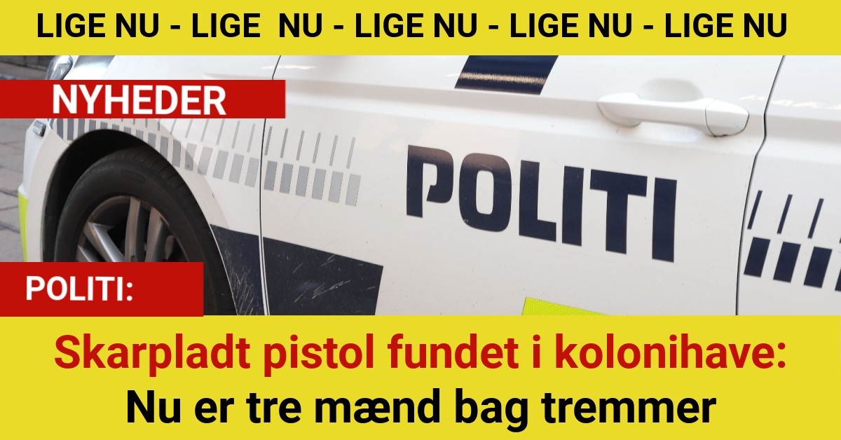 Skarpladt pistol fundet i kolonihave: Nu er tre mænd bag tremmer