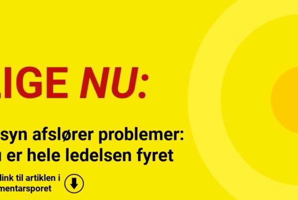 Tilsyn afslører problemer: Nu er hele ledelsen fyret