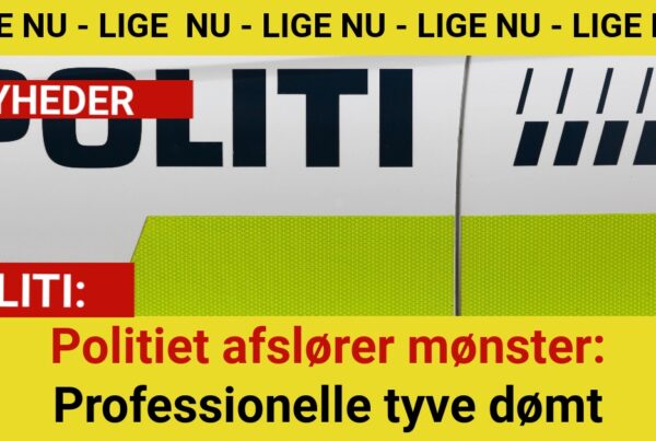 BMW-bande afsløret: Fire mænd dømt i stor tyverisag