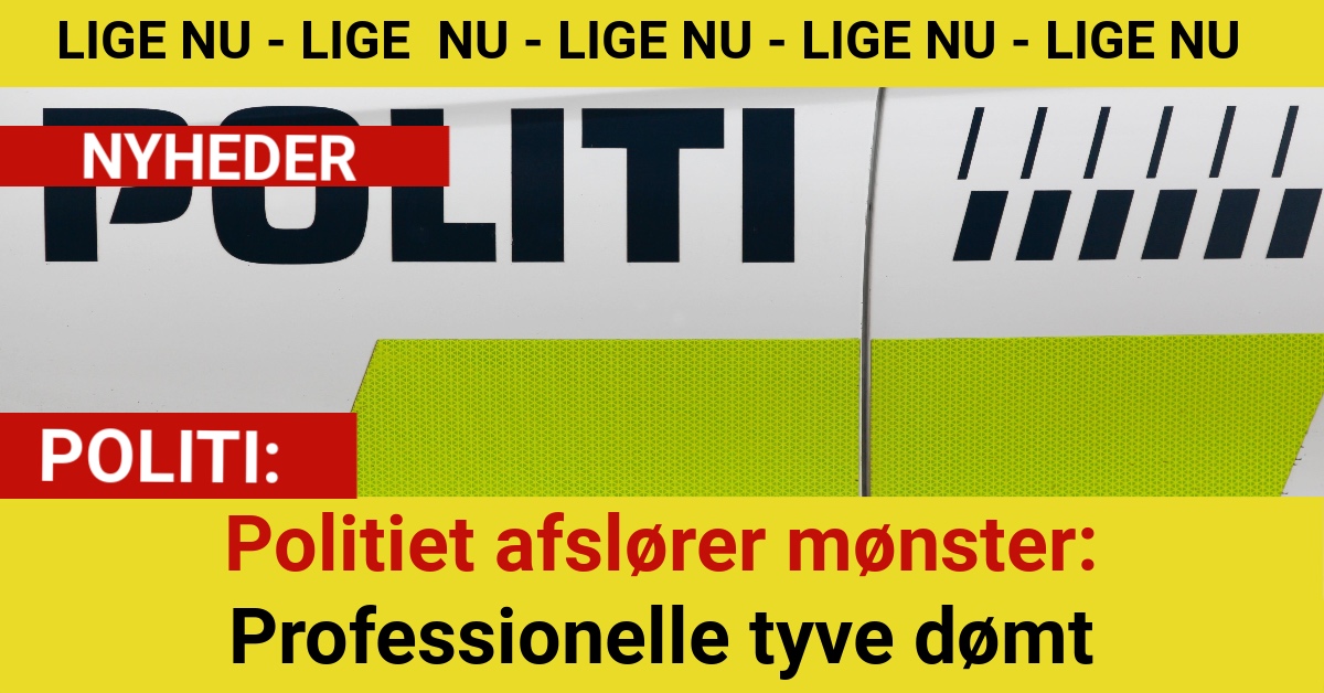 BMW-bande afsløret: Fire mænd dømt i stor tyverisag