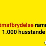 Strømafbrydelse rammer 1.000 husstande