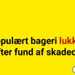 Populært bageri lukket efter fund af skadedyr