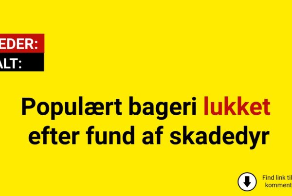Populært bageri lukket efter fund af skadedyr