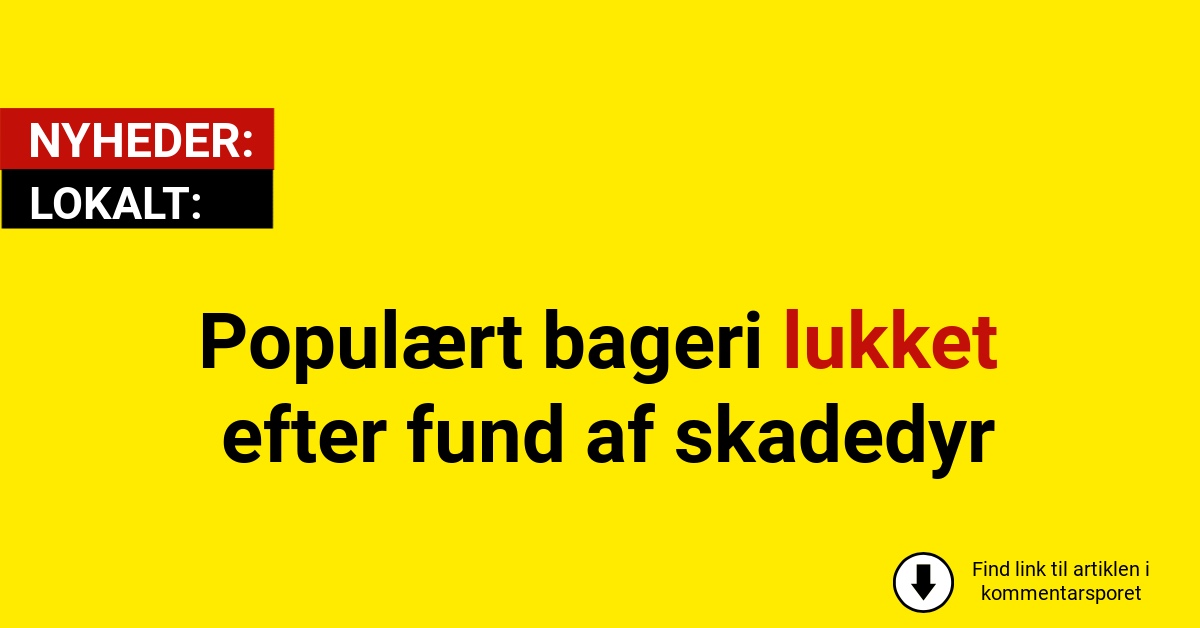 Populært bageri lukket efter fund af skadedyr