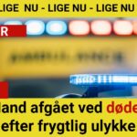 Mand afgået ved døden efter frygtlig ulykke
