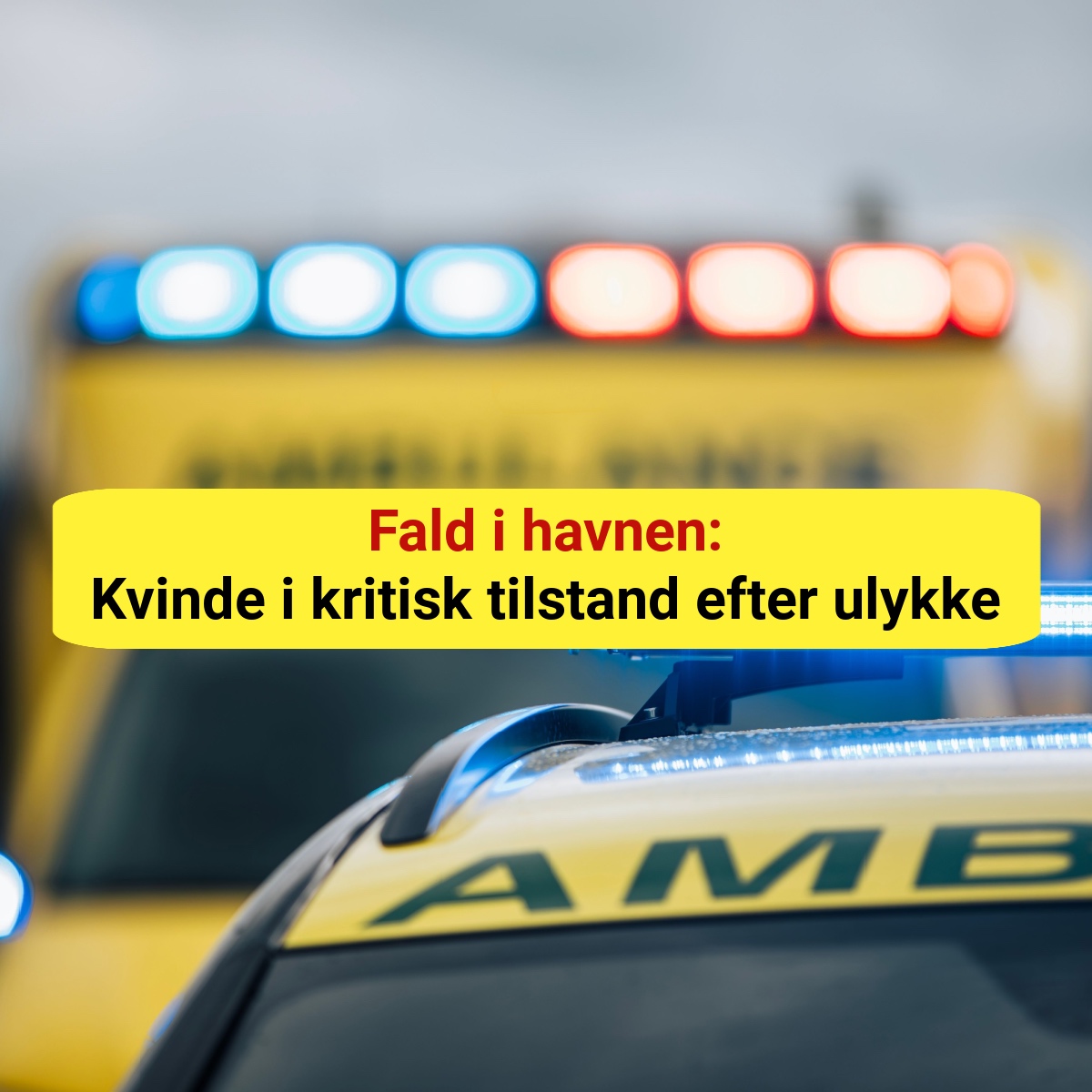 Fald i havnen: Kvinde i kritisk tilstand efter ulykke