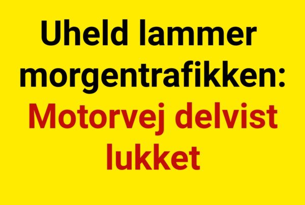 Uheld lammer morgentrafikken: Motorvej delvist lukket