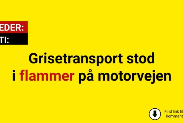 Grisetransport stod i flammer på motorvejen
