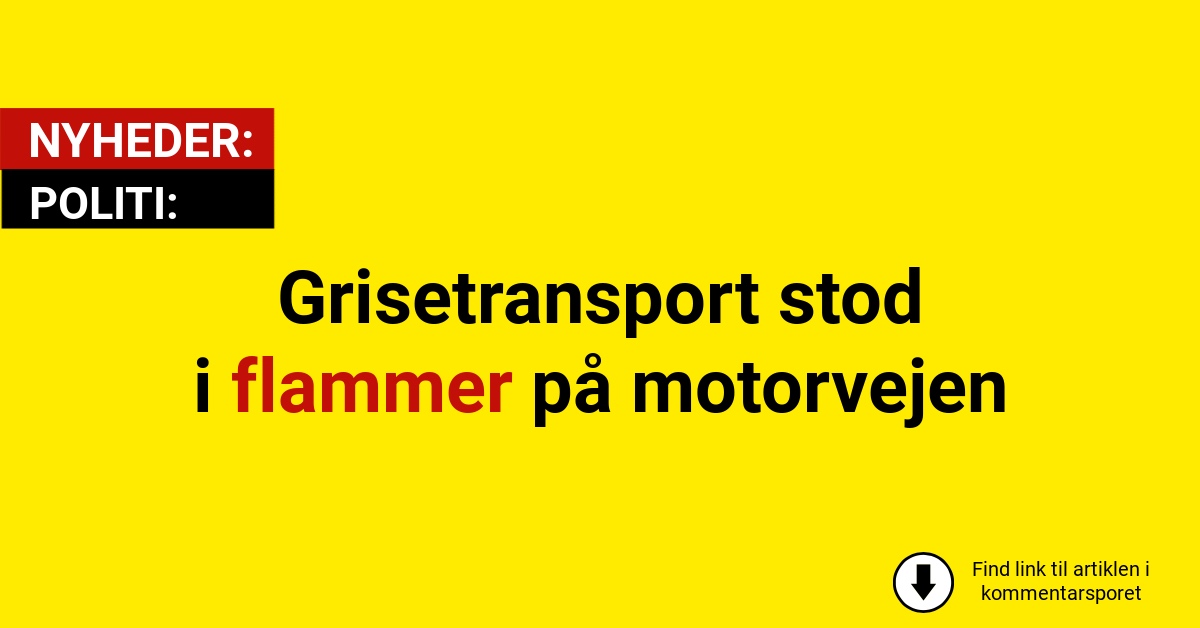Grisetransport stod i flammer på motorvejen