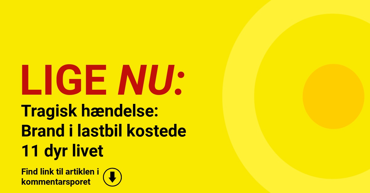 Tragisk hændelse: Brand i lastbil kostede 11 dyr livet
