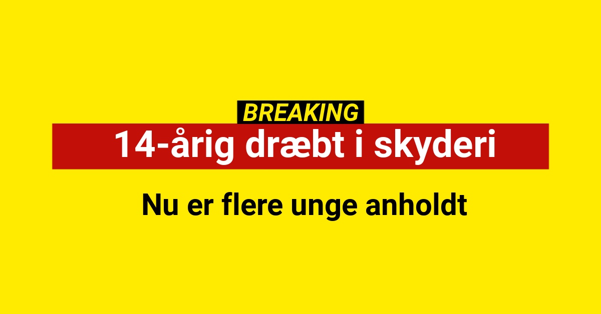 14-årig dræbt i skyderi