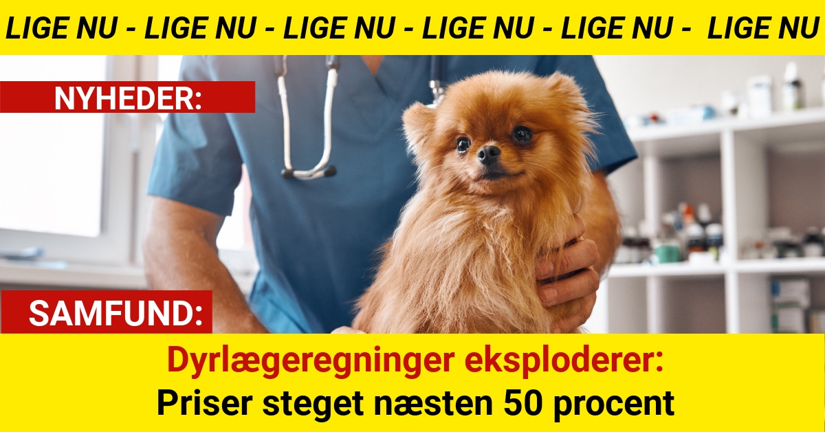 Dyrlægeregninger eksploderer: Priser steget næsten 50 procent