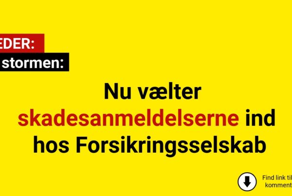 Efter stormen: Nu vælter skadesanmeldelserne ind hos Forsikringsselskab