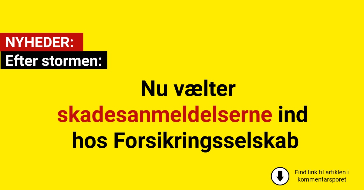Efter stormen: Nu vælter skadesanmeldelserne ind hos Forsikringsselskab