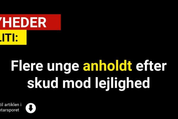 Flere unge anholdt efter skud mod lejlighed