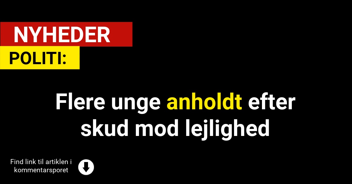 Flere unge anholdt efter skud mod lejlighed