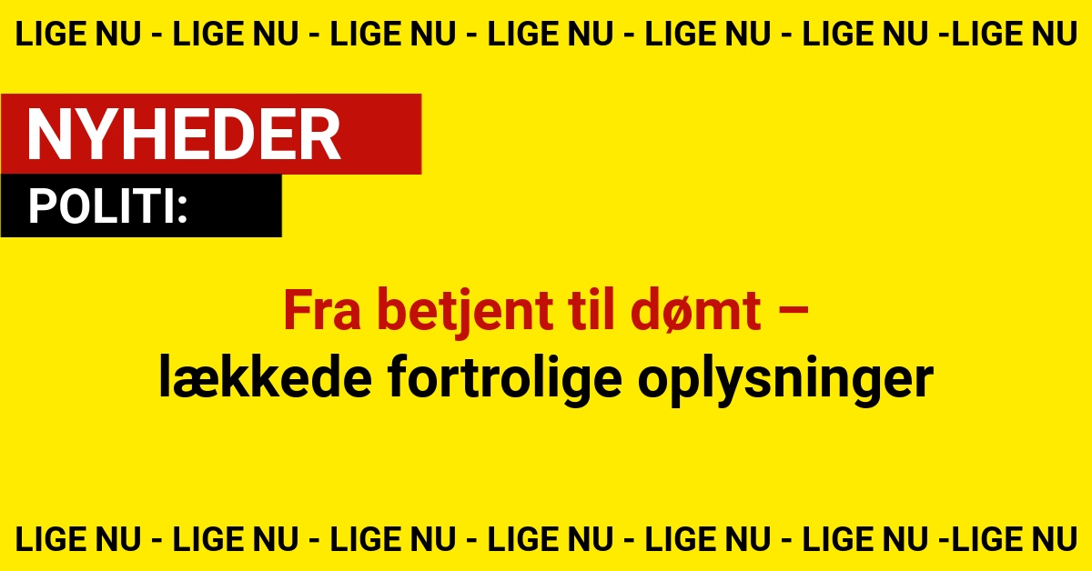 Fra betjent til dømt – lækkede fortrolige oplysninger