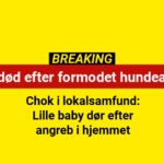 Baby død efter voldsomt hundeangreb – nu er en mand anholdt