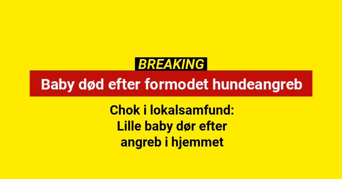 Baby død efter voldsomt hundeangreb – nu er en mand anholdt