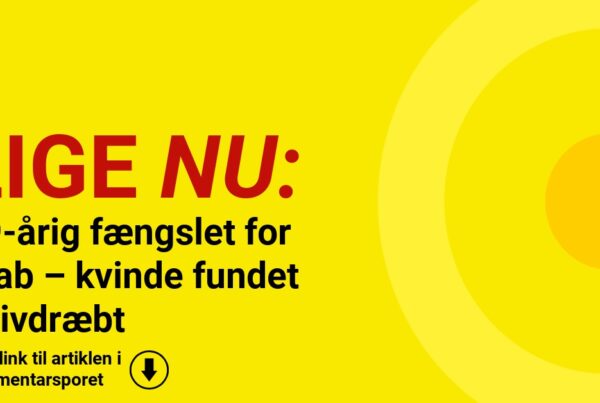 19-årig fængslet for drab – kvinde fundet knivdræbt