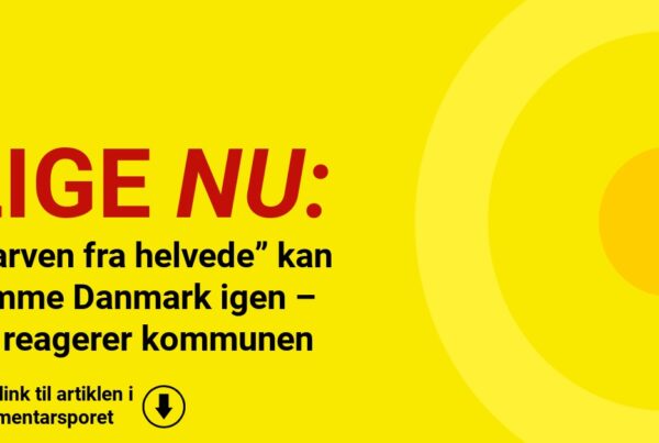 “Larven fra helvede” kan ramme Danmark igen – nu reagerer kommunen