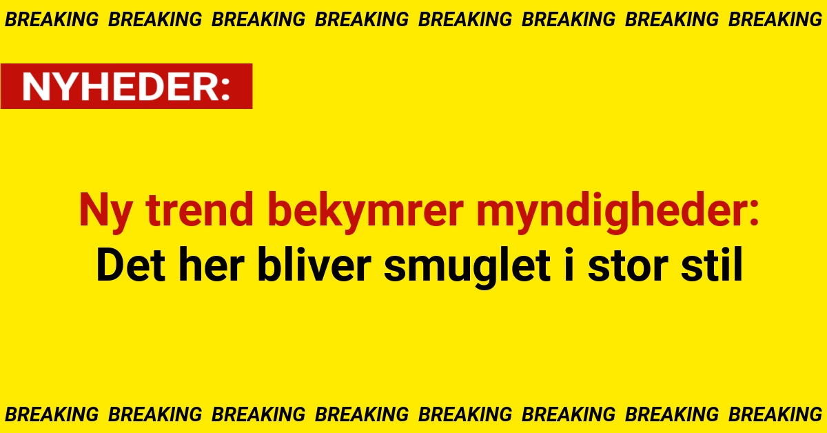 Ny trend bekymrer myndigheder: Det her bliver smuglet i stor stil