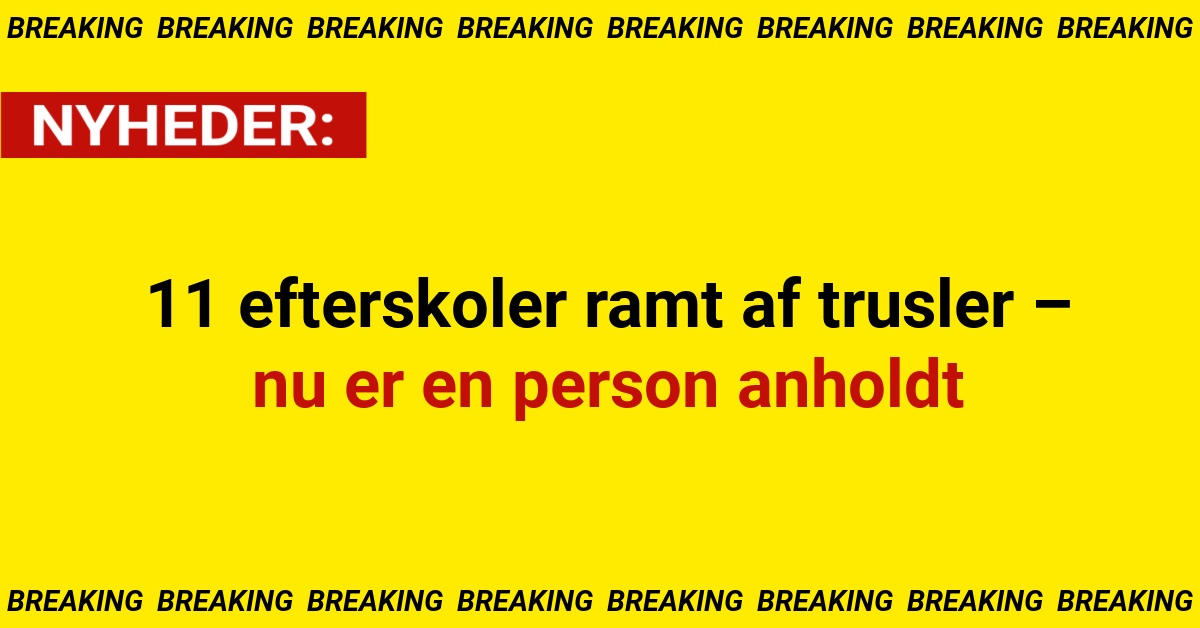 11 efterskoler ramt af trusler – nu er en person anholdt