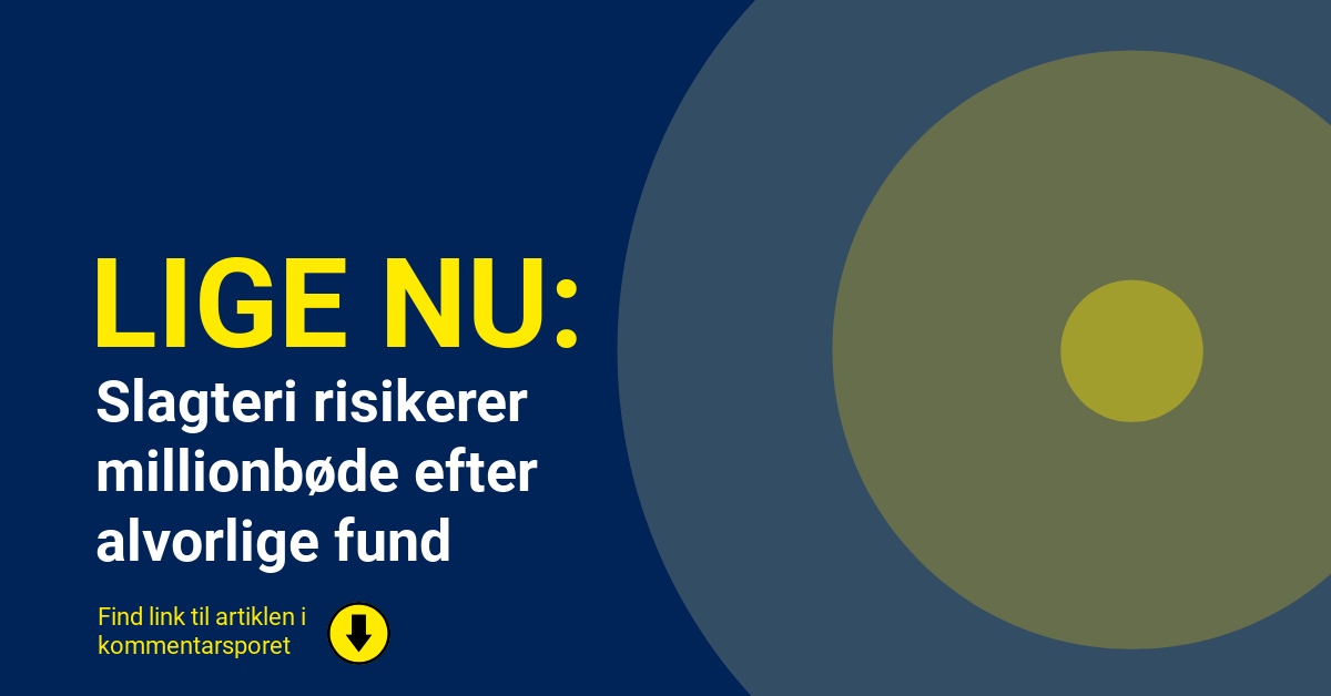 Slagteri risikerer millionbøde efter alvorlige fund