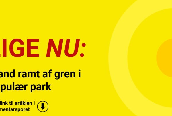 Mand ramt af gren i populær park